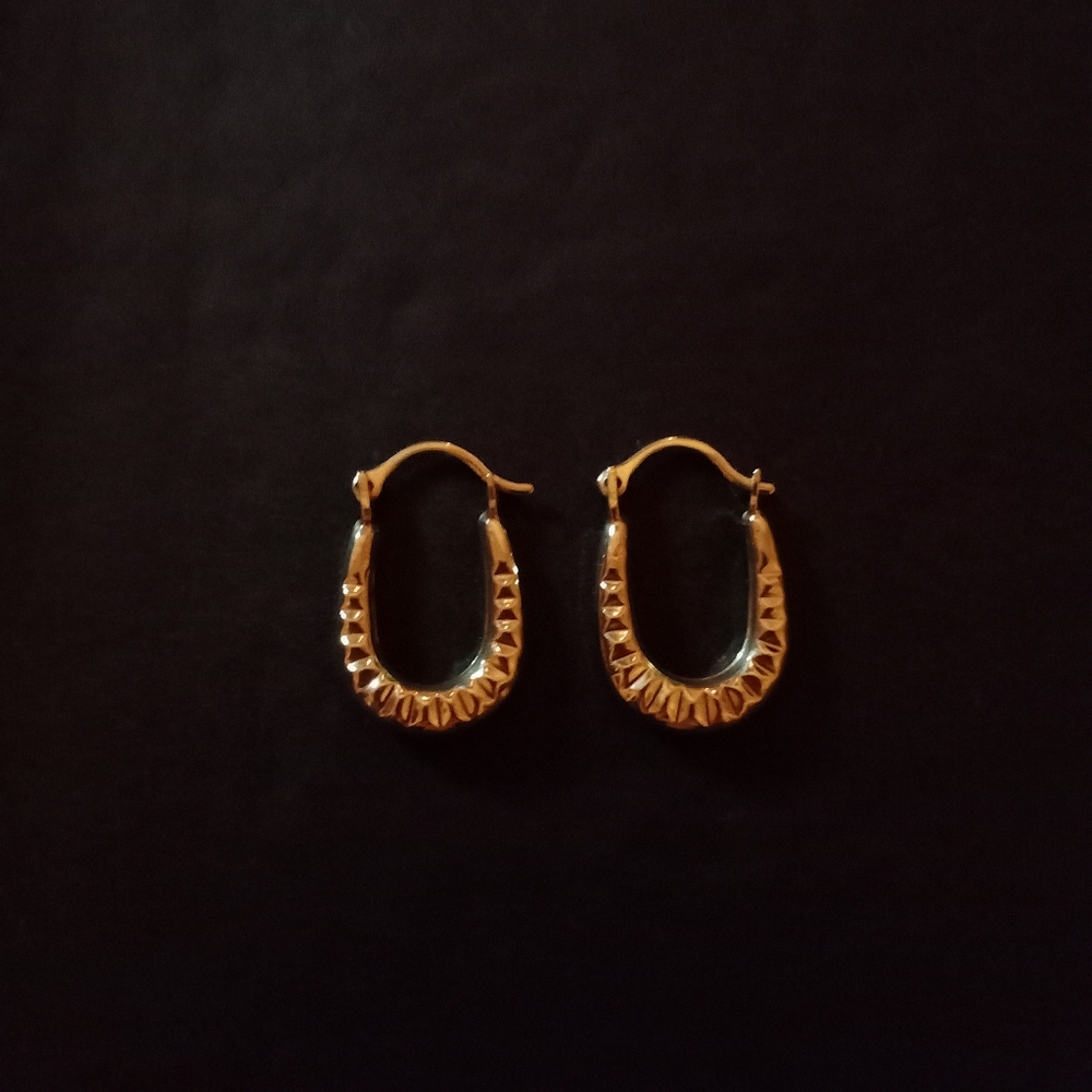 10K gold hoops.